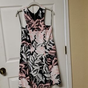 Express Fit and Flare Dress
